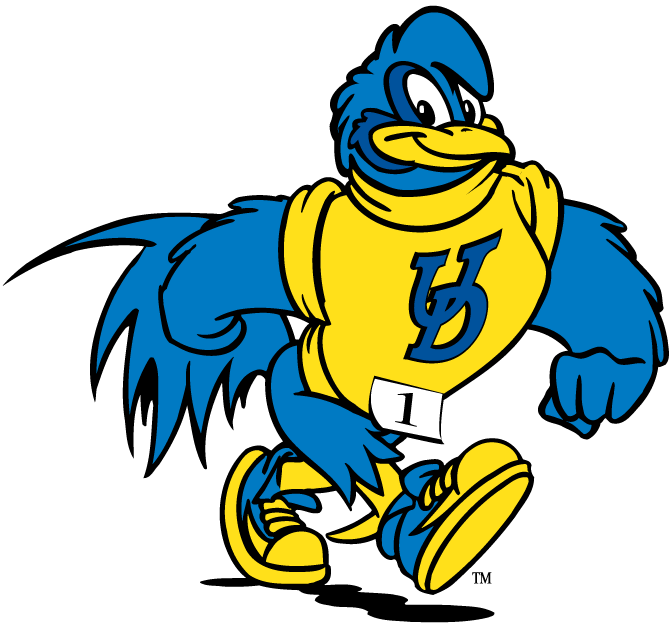 delaware blue hens 1993-pres mascot Logo v3 DIY iron on transfer (heat transfer)